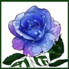 小草视频